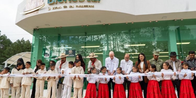 Banco del Bienestar se consolida como referente de inclusión financiera en México
