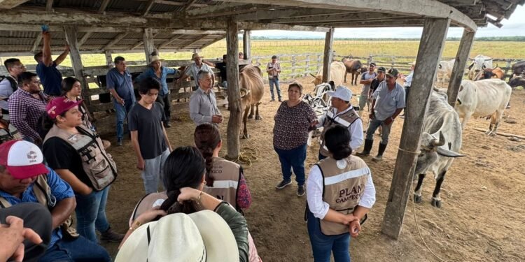 Plan Campeche apunta a un campo más competitivo y rentable en 2026