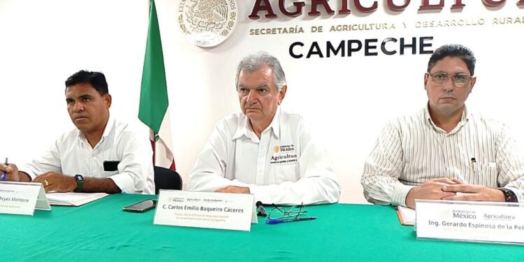 Plan Campeche proyecta inversión cercana a los 20 mdp al campo