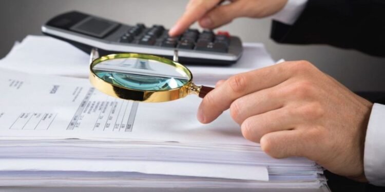 Sales Up busca contratos federales pese a su opacidad y antecedentes en Segalmex