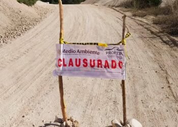 Clausura Profepa banco ilegal de material pétreo en zona forestal Boxol