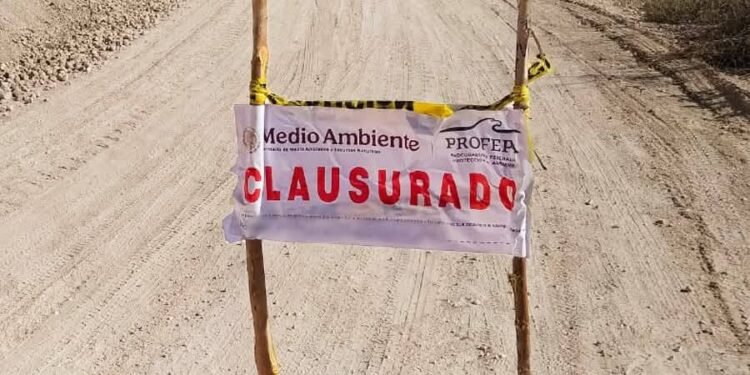 Clausura Profepa banco ilegal de material pétreo en zona forestal Boxol
