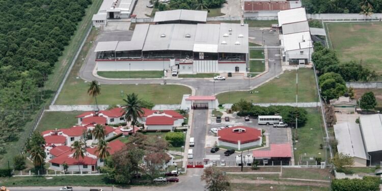 Chiapas albergará planta clave para erradicar el gusano barrenador del ganado