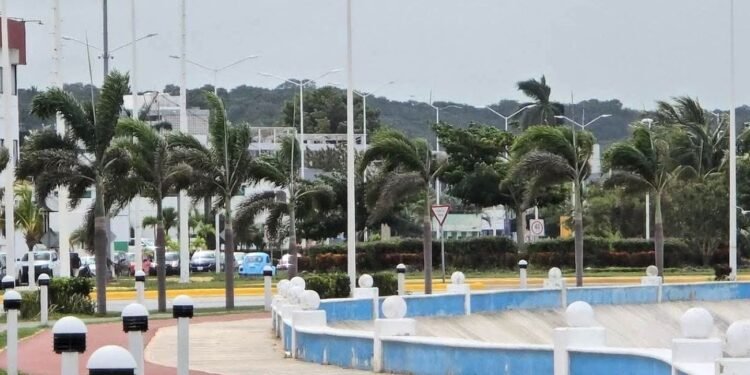 Frente Frío 29 provoca lluvias y fuertes vientos; llaman a extremar precauciones