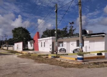 Indignación en Kobén: denuncian envenenamiento de perritos y exigen castigo ejemplar