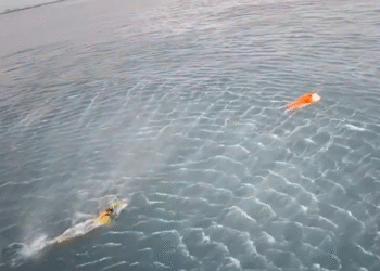 Pescador brasileño sobrevive a naufragio aferrado a la puerta de un refrigerador