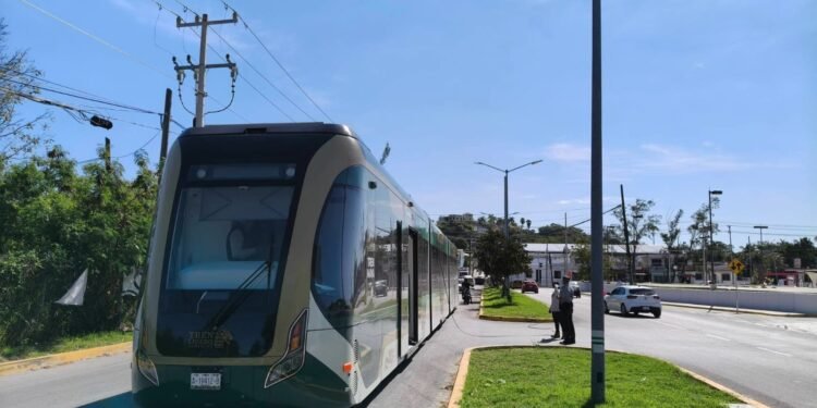 Tren Ligero queda varado por cables colapsados en avenida Dársena