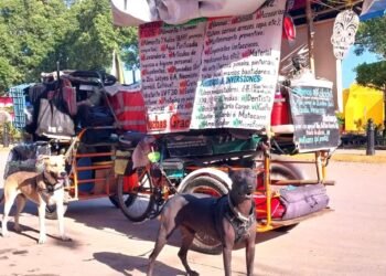 Pablocleto, maestro del milenario juego de Go, pedalea el sureste acompañado de sus perros Tepache y Tenoch