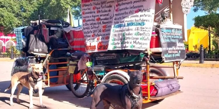 Pablocleto, maestro del milenario juego de Go, pedalea el sureste acompañado de sus perros Tepache y Tenoch