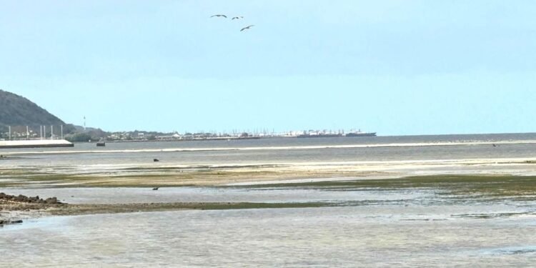 Se retira el mar en el malecón campechano, como consecuencia del frente frío