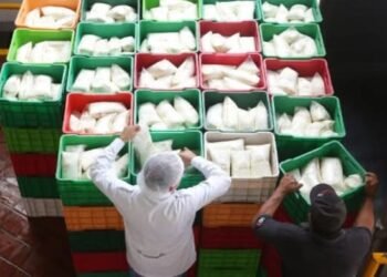 Planta pasteurizadora será inaugurada en abril