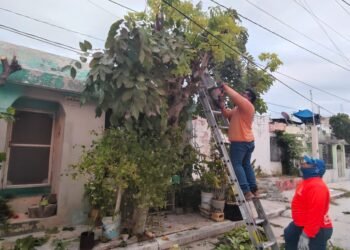 Brigadas municipales liberan cableado eléctrico por riesgos a la ciudadanía y servicios