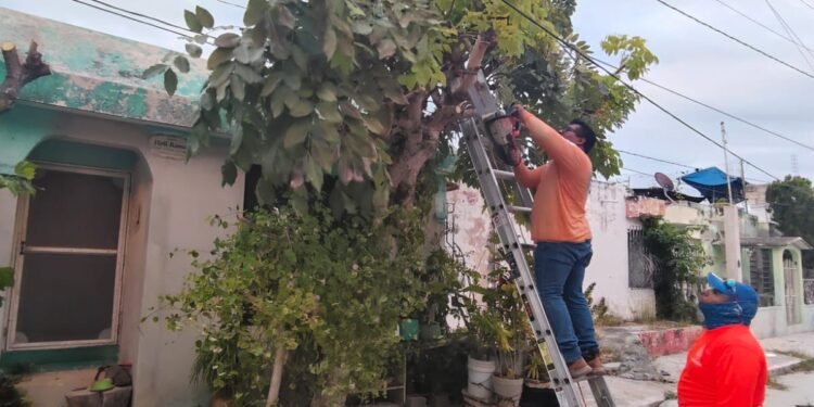 Brigadas municipales liberan cableado eléctrico por riesgos a la ciudadanía y servicios