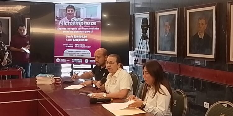Impulsan financiamiento a microempresas; conoce los montos, plazos y requisitos