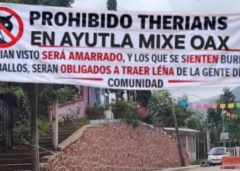 Comunidades de Oaxaca colocan mantas contra “therians”