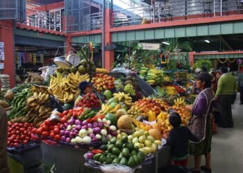 Precios al alza: enero fue más caro para los estados del sureste del país, reporta INEGI