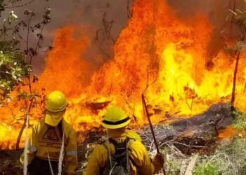 Campeche enfrenta escalada histórica de incendios en 2025