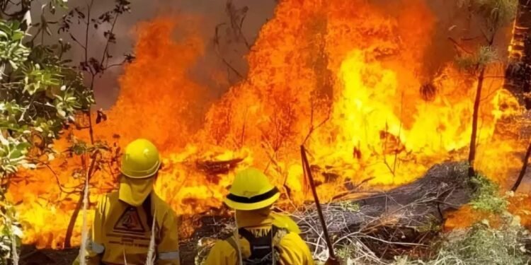 Campeche enfrenta escalada histórica de incendios en 2025