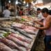 ¿Sabes cómo elegir el pescado? COFEPRIS emite recomendaciones clave para esta Cuaresma