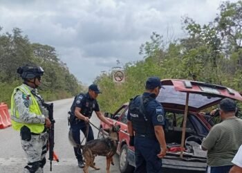 Refuerzan vigilancia en la carretera Campeche–Mérida; autoridades piden calma ante filtros de seguridad