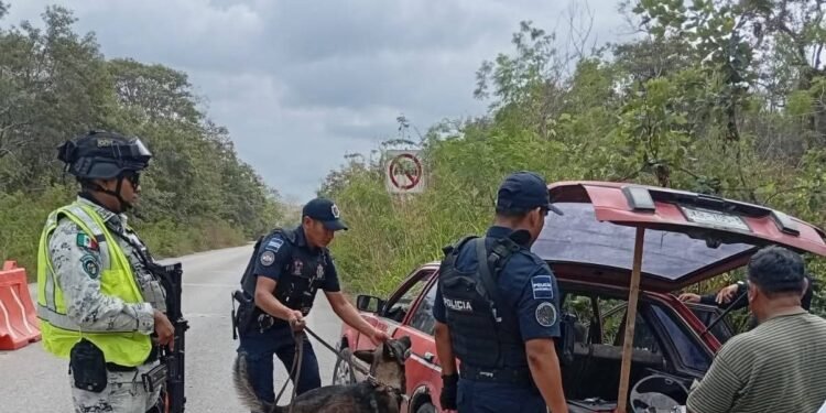 Refuerzan vigilancia en la carretera Campeche–Mérida; autoridades piden calma ante filtros de seguridad