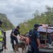 Refuerzan vigilancia en la carretera Campeche–Mérida; autoridades piden calma ante filtros de seguridad