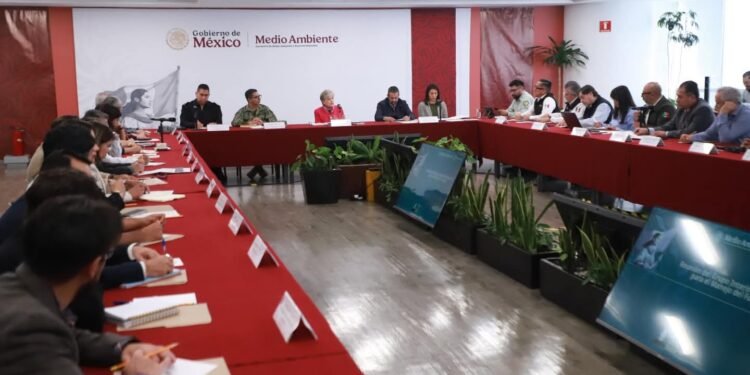 Alianza verde: Estado y Federación coordinan ofensiva ambiental