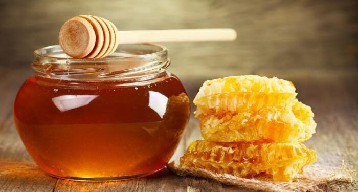 ¡Zumbando de orgullo! México instituye el Día Nacional de la Apicultura