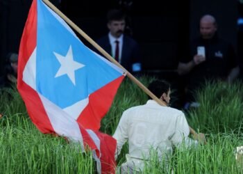 Una noche, 35% más español: el efecto Bad Bunny post Super Bowl