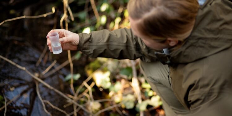 El Estado recupera concesiones mineras y protege territorios ambientales clave