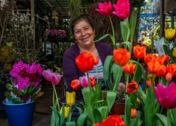 El amor también se cultiva: el campo mexicano florece este 14 de febrero