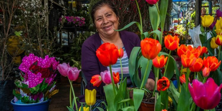 El amor también se cultiva: el campo mexicano florece este 14 de febrero