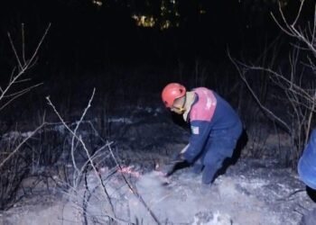 Susto en Monte Albán: incendio alerta a Oaxaca, Lila Downs pide ayuda