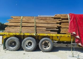 Asegura Profepa tracto camión con más de 28 m3 de madera ilegal en Escárcega