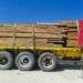 Asegura Profepa tracto camión con más de 28 m3 de madera ilegal en Escárcega