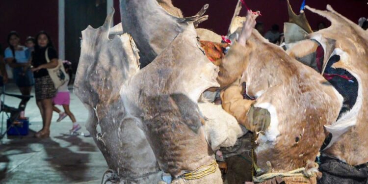 Los Osos de Nunkiní renacen: una tradición ancestral que conquista a los visitantes en el Carnaval