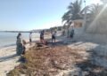 Marea limpia: Marina deja huella verde en Playa Bonita al retirar 360 kilos de basura