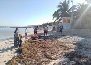 Marea limpia: Marina deja huella verde en Playa Bonita al retirar 360 kilos de basura