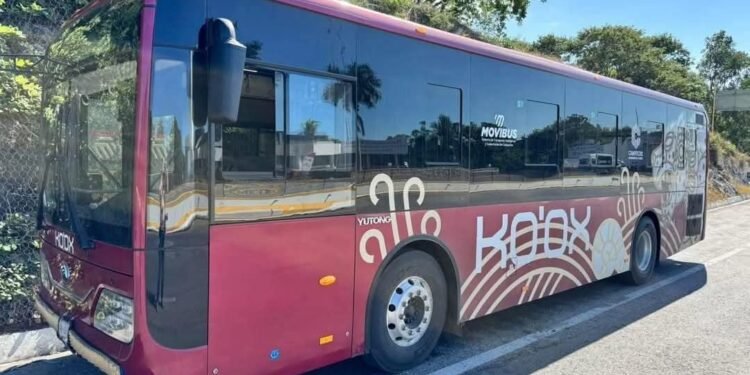 Campechanos podrán realizar recargas del sistema de movilidad Ko’ox, en tiendas Oxxo