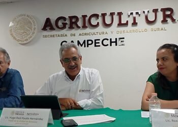Agricultura paga 108 mdp a 31 mil productores de maíz
