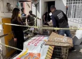 Autoridades rescatan más de 700 animales en operativo en Edomex