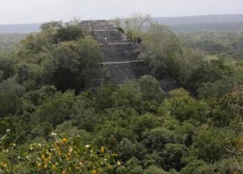 Descubren red de mercados mayas ocultos en la selva de Campeche