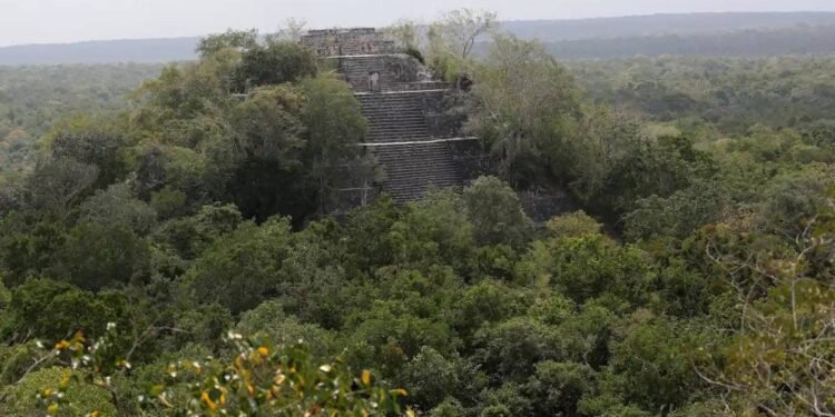 Descubren red de mercados mayas ocultos en la selva de Campeche