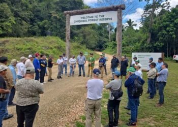 Belice reúne a México y Guatemala para fortalecer protección de la Gran Selva Maya