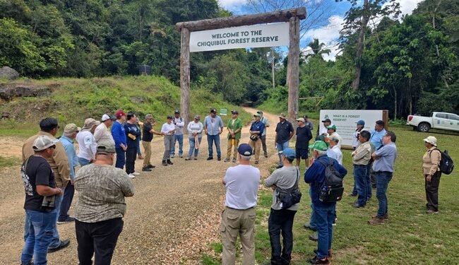 Belice reúne a México y Guatemala para fortalecer protección de la Gran Selva Maya