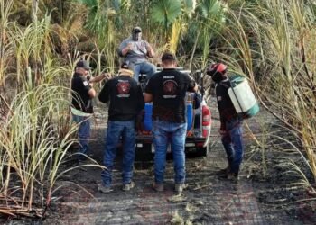 Evitan expansión de incendio en zona de riesgo en Champotón