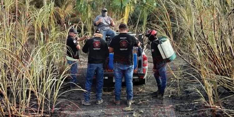 Evitan expansión de incendio en zona de riesgo en Champotón