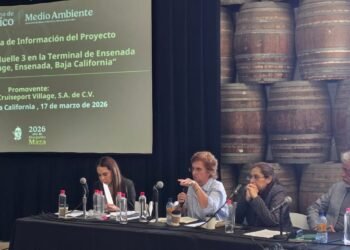 Nuevo muelle busca asegurar liderazgo de Ensenada en turismo de cruceros