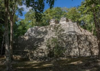 El rugido de la selva sorprende a visitantes en la zona arqueológica de Balamkú