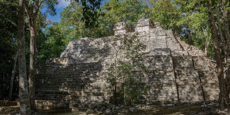 El rugido de la selva sorprende a visitantes en la zona arqueológica de Balamkú